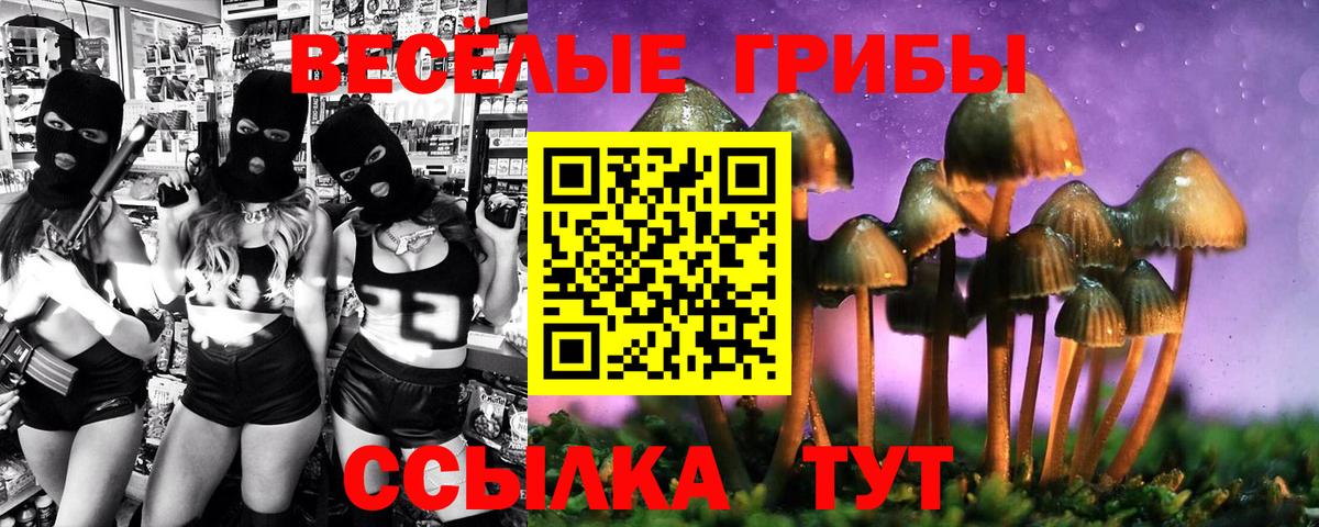 Псилоцибиновые грибы Psilocybe Октябрьский