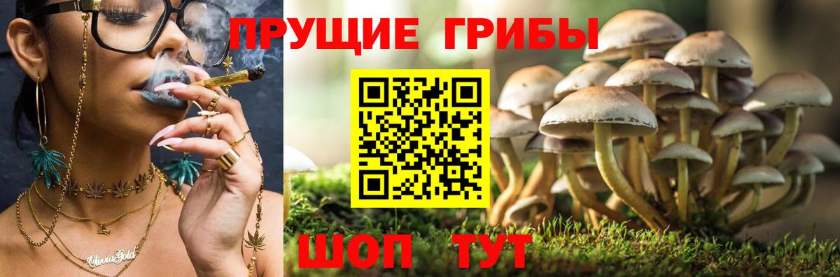 Октябрьский  Псилоцибиновые грибы прущие грибы  Псилоцибиновые грибы мухоморы  Вход с VPN 